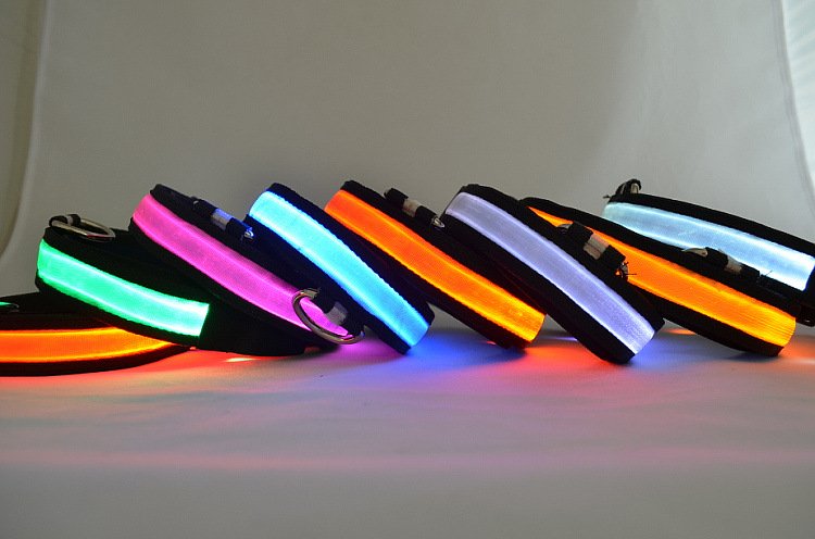 LED Light Up Dog Collar, Sizes M to XL