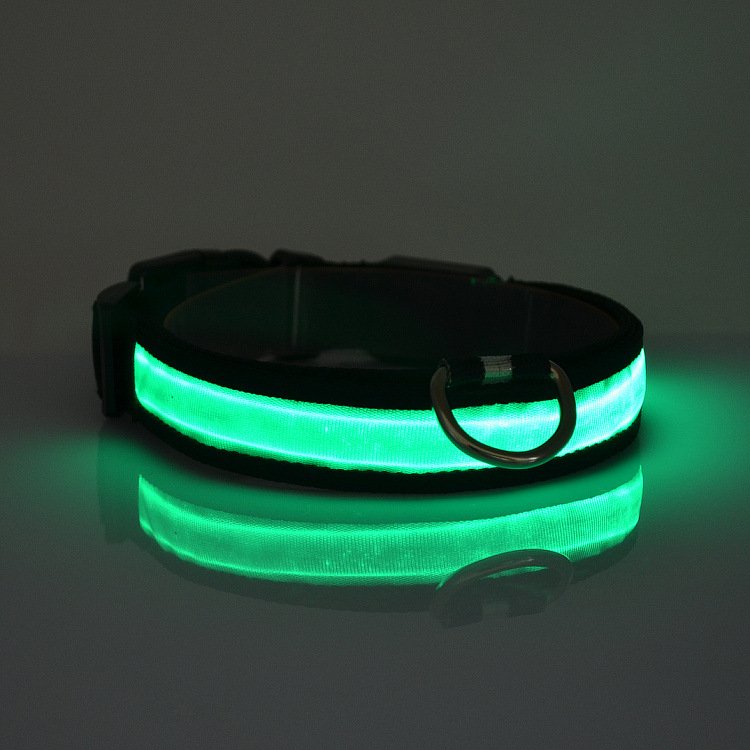 LED Light Up Dog Collar, Sizes M to XL