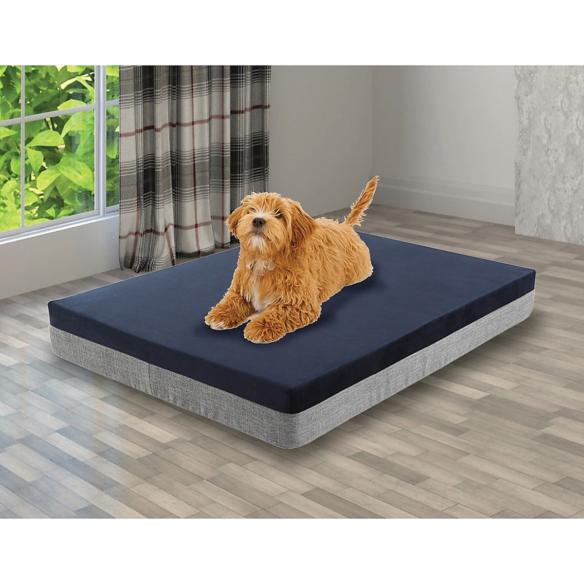 Orthopedic Memory Foam Dog Bed, 15 cm Thick, Large
