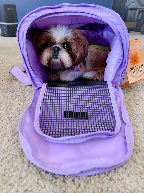 Hideaway Duffel Pet Carrier With Sound Barrier, Standard