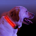 LED Light Up Dog Collar, Sizes M to XL