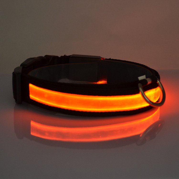LED Light Up Dog Collar, Sizes M to XL