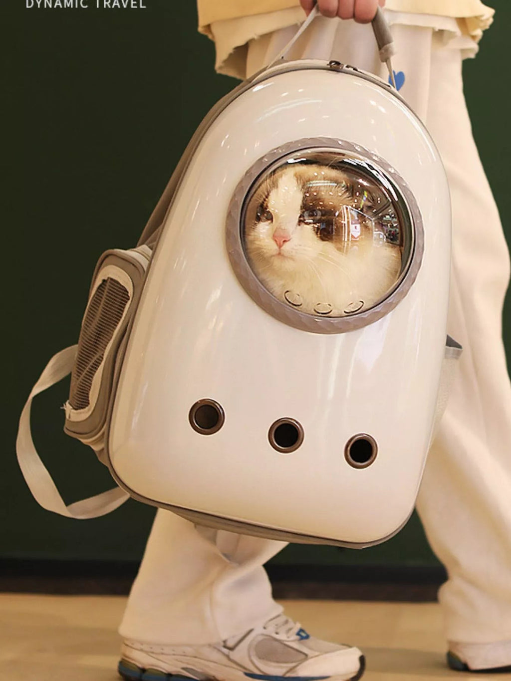 Space Capsule Pet Carrier Backpack With Clear Dome