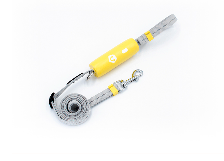Elastic Bungee Dog Leash With One Button Lock