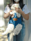 Pet Carrier Backpack With Adjustable Straps, Dusty Blue
