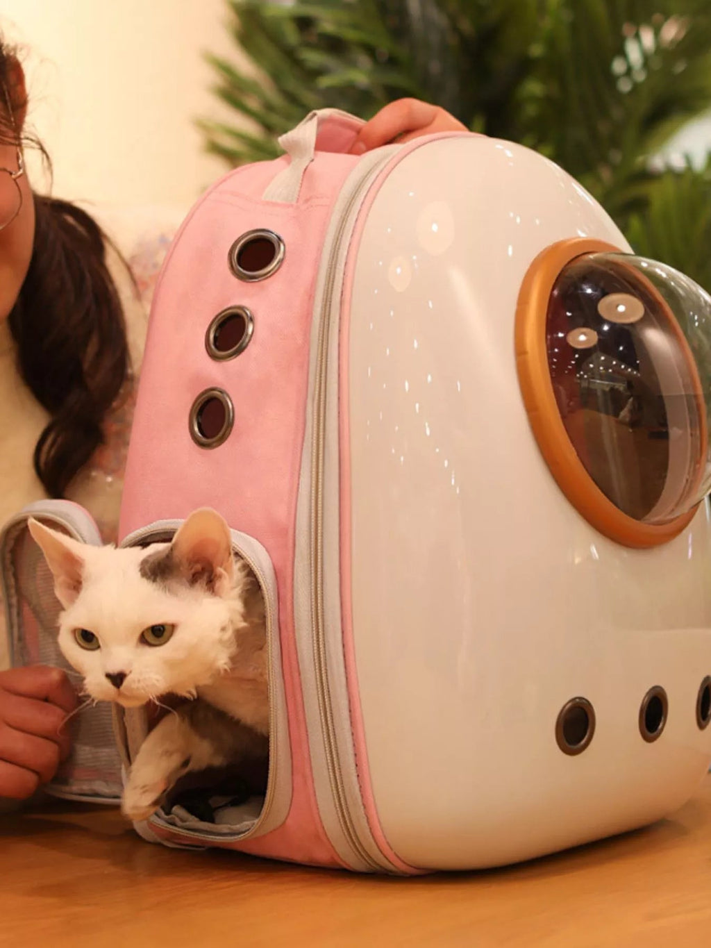 Space Capsule Pet Carrier Backpack With Clear Dome