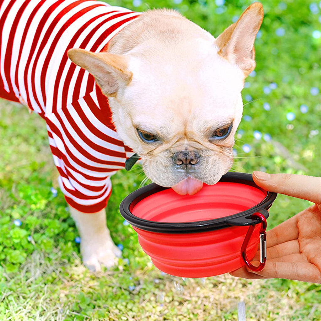 Collapsible Travel Dog Bowl, 12 oz, Set of 5, Red