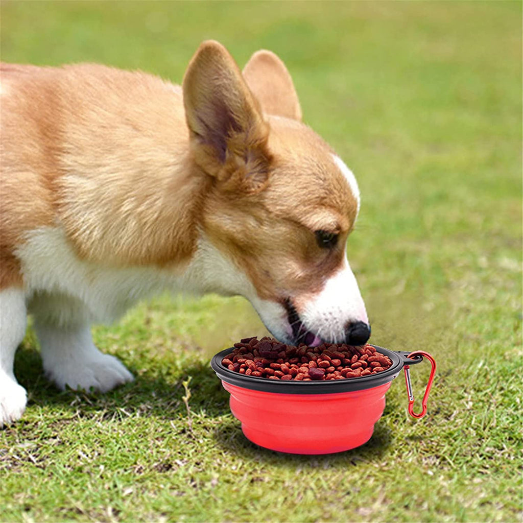 Collapsible Travel Dog Bowl, 12 oz, Set of 5, Red