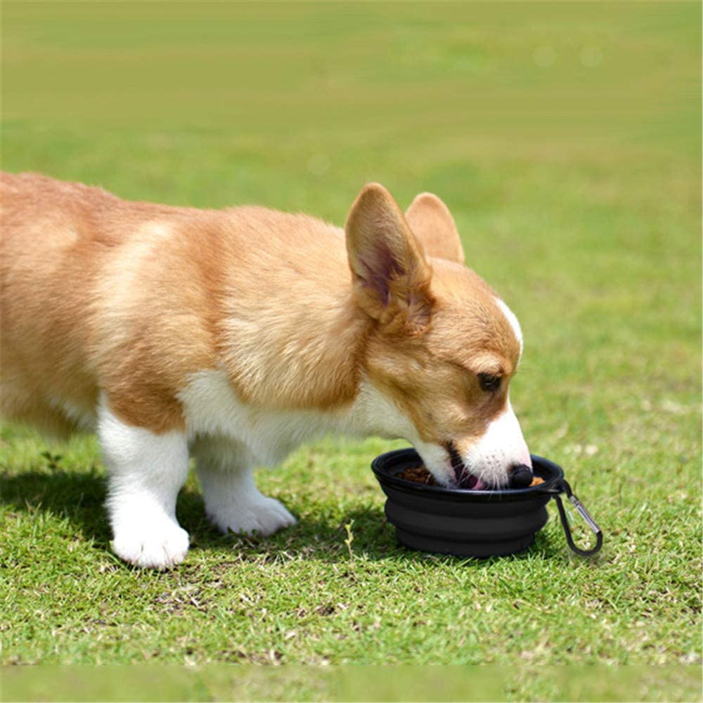 Collapsible Travel Dog Bowl, 12 oz, Set of 5, Black