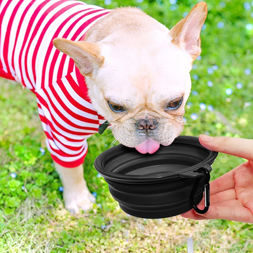 Collapsible Travel Dog Bowl, 12 oz, Set of 5, Black