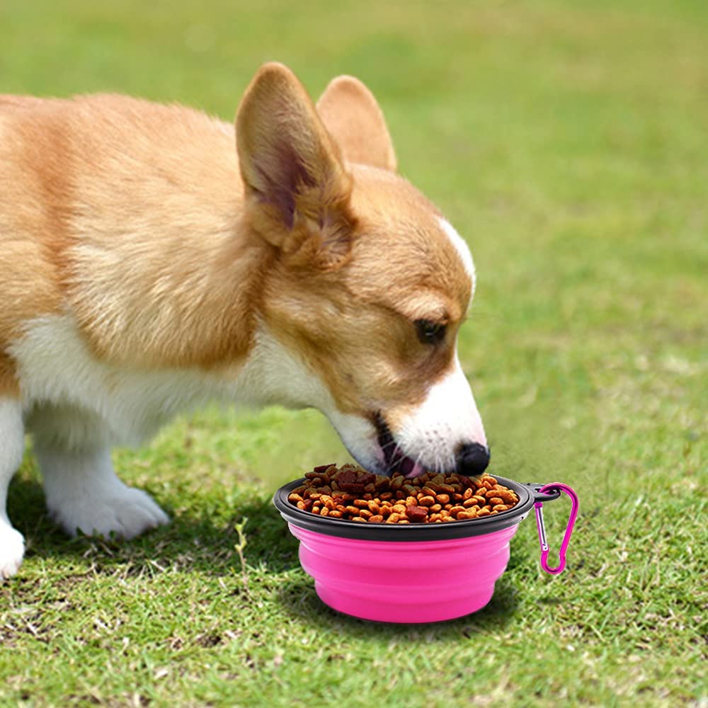 Collapsible Travel Dog Bowl, 12 oz, Set of 5, Pink