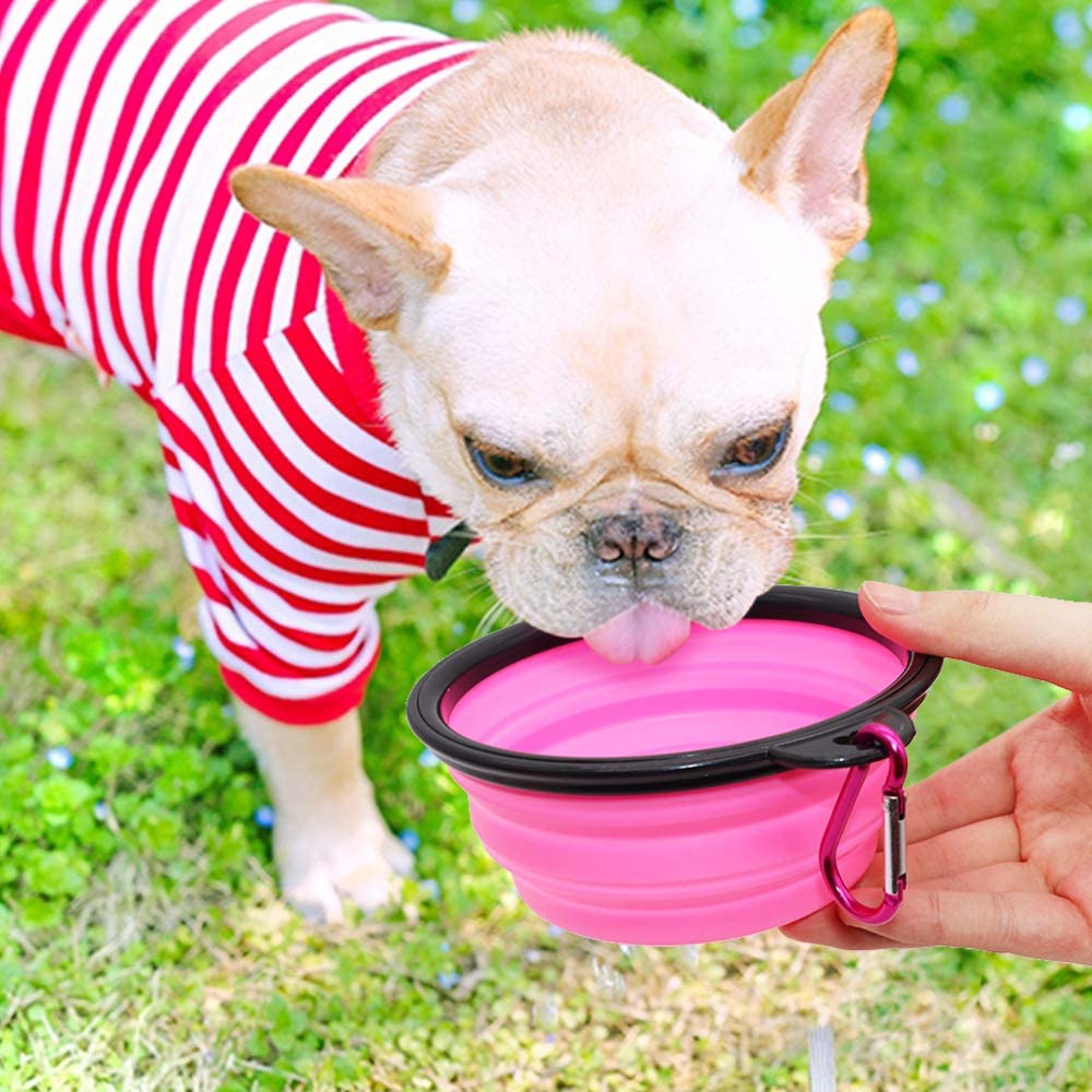 Collapsible Travel Dog Bowl, 12 oz, Set of 5, Pink