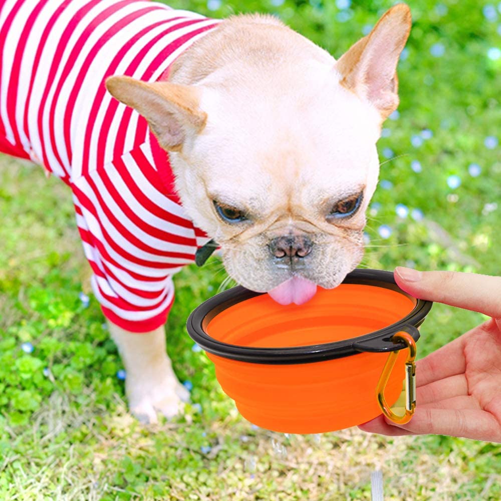 Collapsible Travel Dog Bowl, 12 oz, Set of 5, Orange