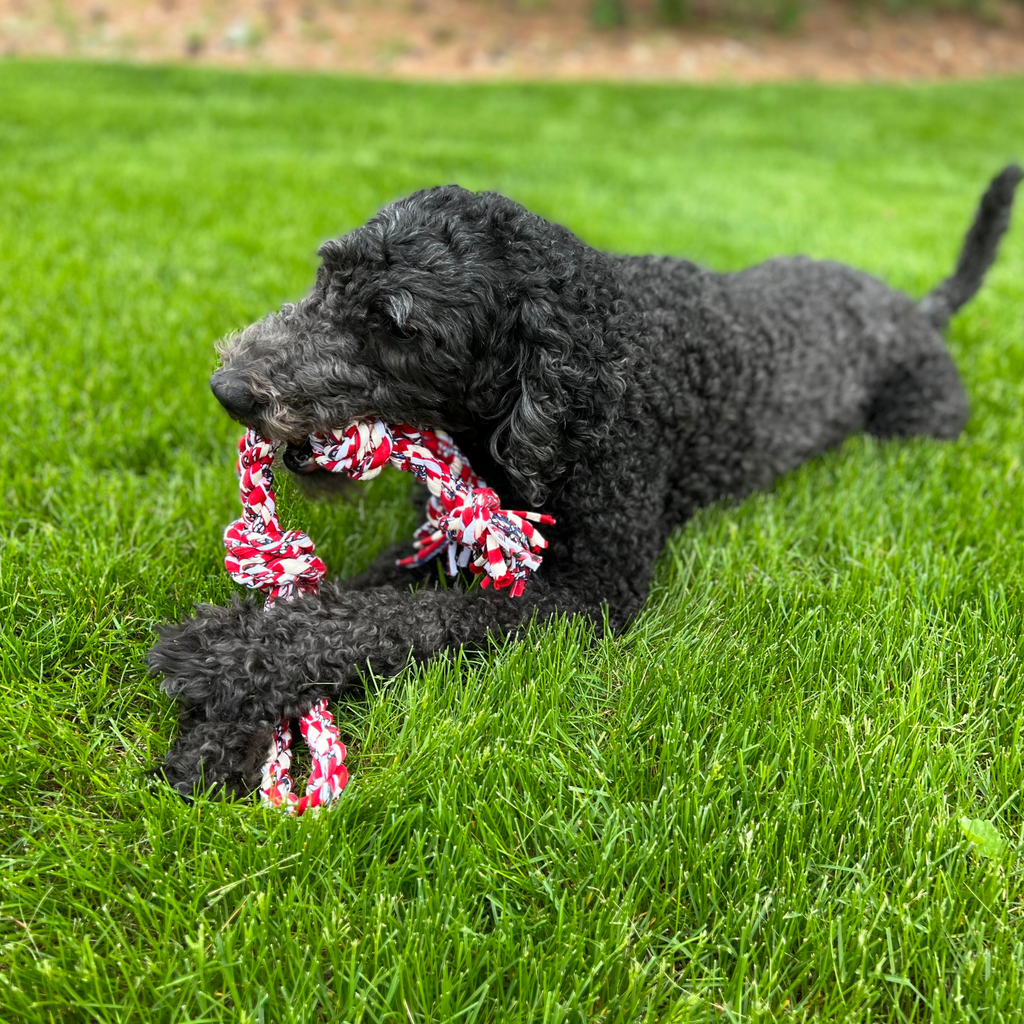 ReRope Barrel Knot Upcycled Rope Dog Toy