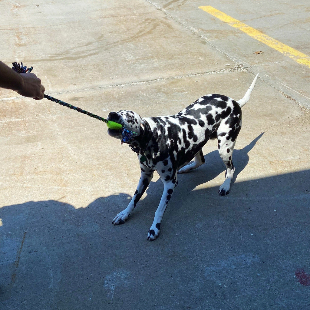 ReRope Small Looper Upcycled Rope Dog Toy