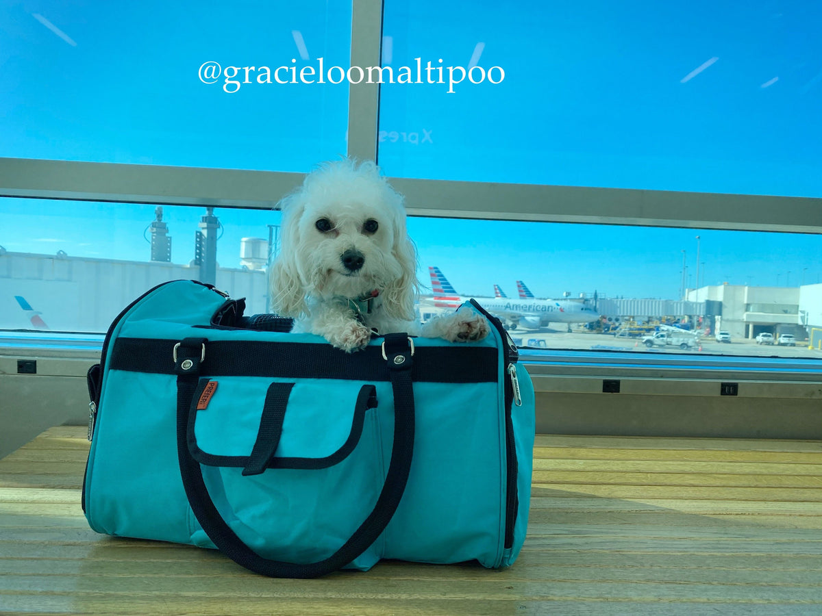 Hideaway Duffel Pet Carrier With Sound Barrier, Standard