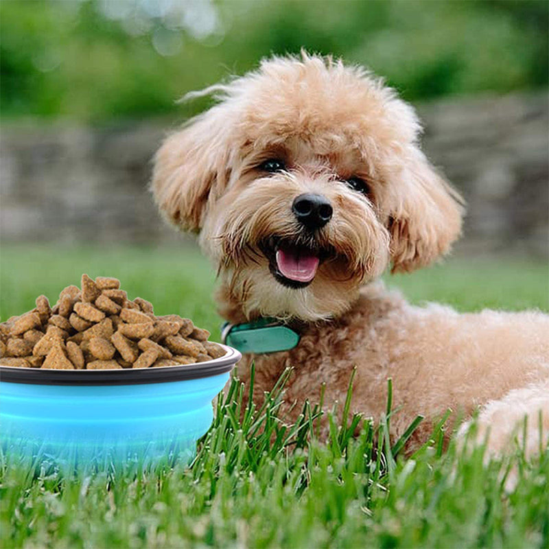 Collapsible Silicone Dog Bowl, 350 ml, Five Colours