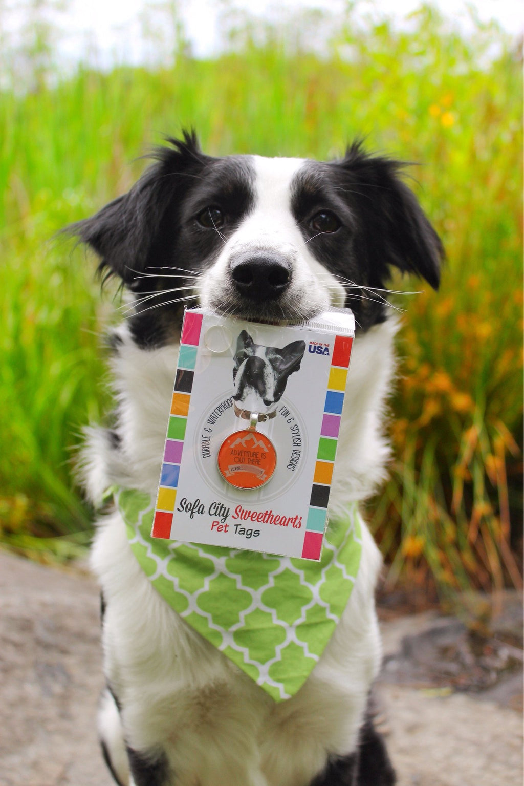 Adventure Is Out There Personalized Dog ID Tag
