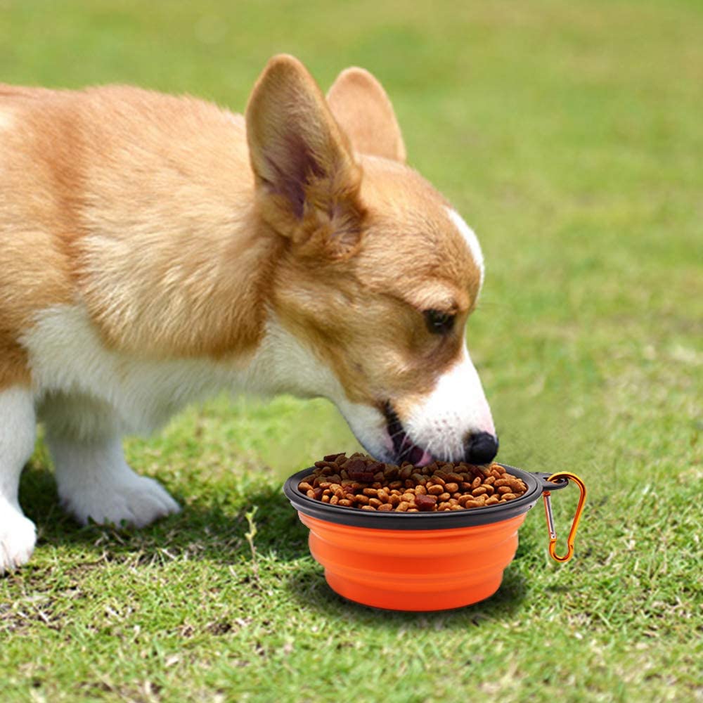 Collapsible Travel Dog Bowl, 12 oz, Set of 5, Orange
