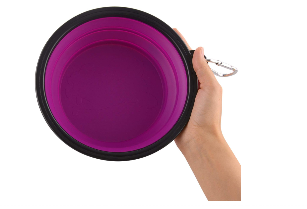 Collapsible Travel Dog Bowl, 12 oz, Set of 5, Purple