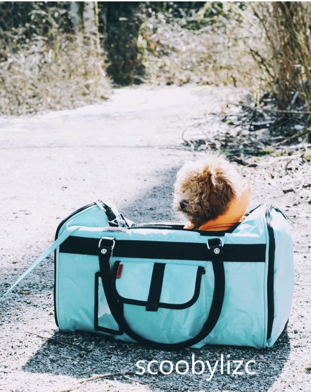Hideaway Duffel Pet Carrier With Sound Barrier, Standard