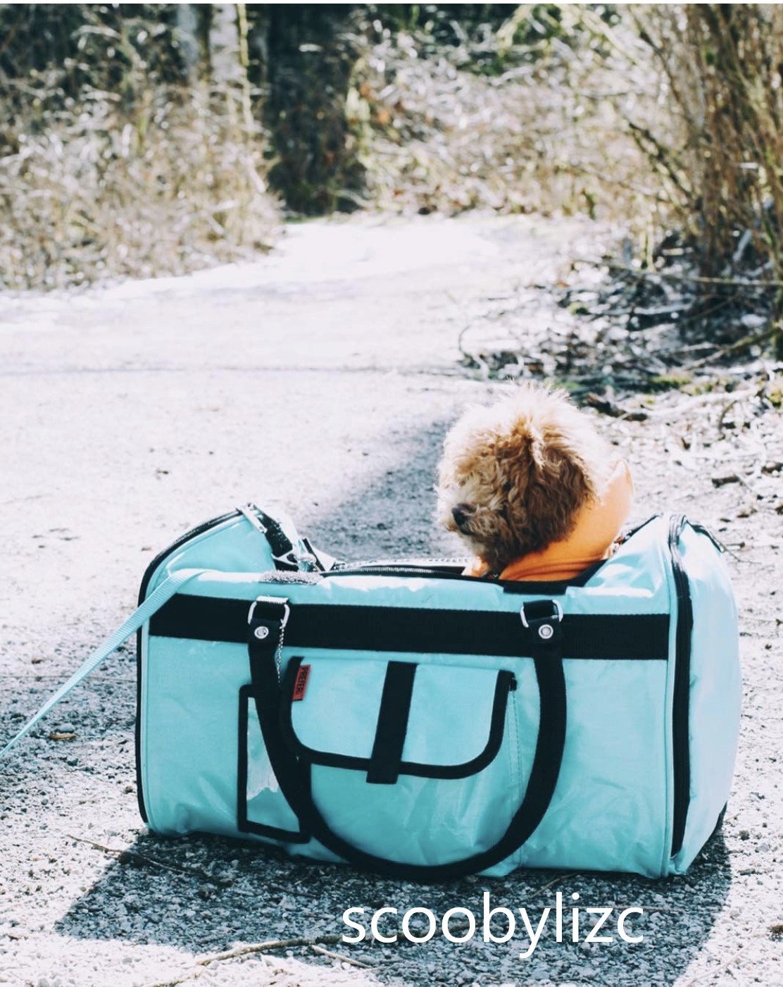 Hideaway Duffel Pet Carrier With Sound Barrier, Standard