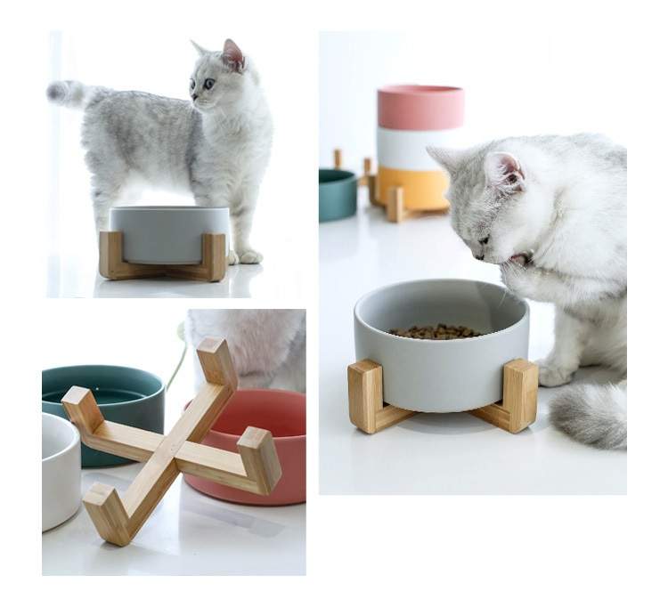 Ceramic Pet Bowl With Bamboo Stand, Six Colours