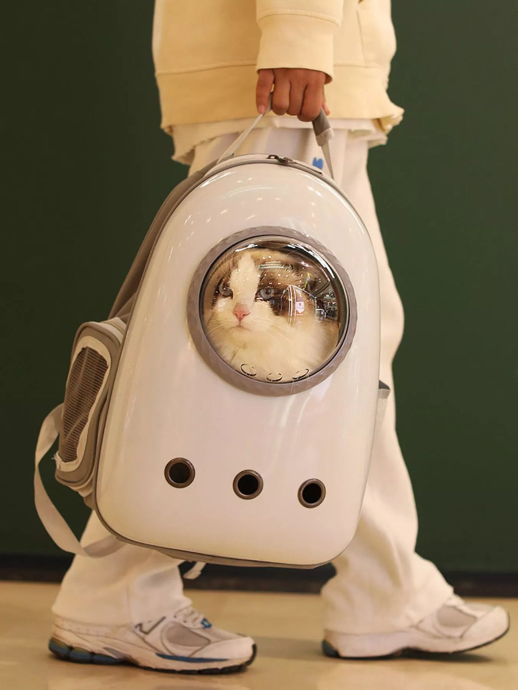 Space Capsule Pet Carrier Backpack With Clear Dome