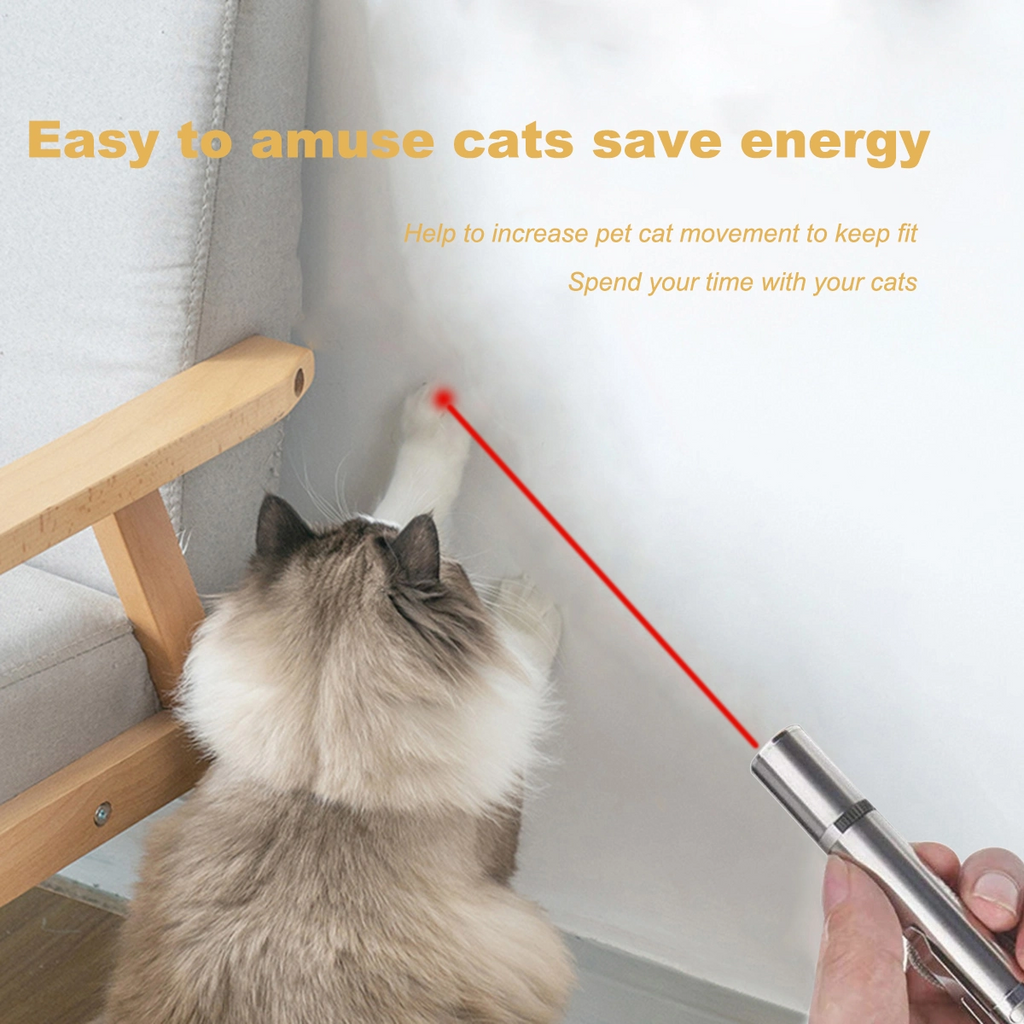 LED Pointer Cat Toy With Five Light Patterns