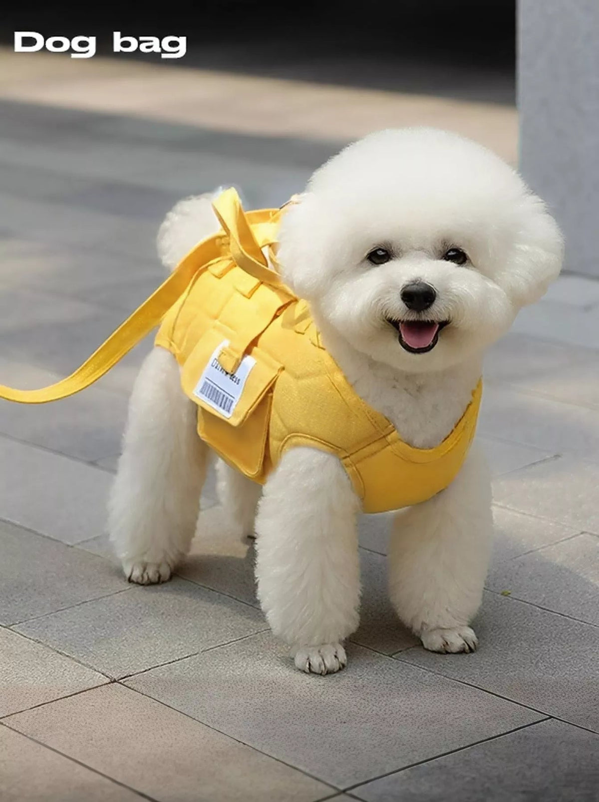 Pet Carrier Sling Harness, Small and Medium