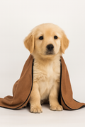 Microfiber Pet Drying Towel Wrap, Chestnut Brown