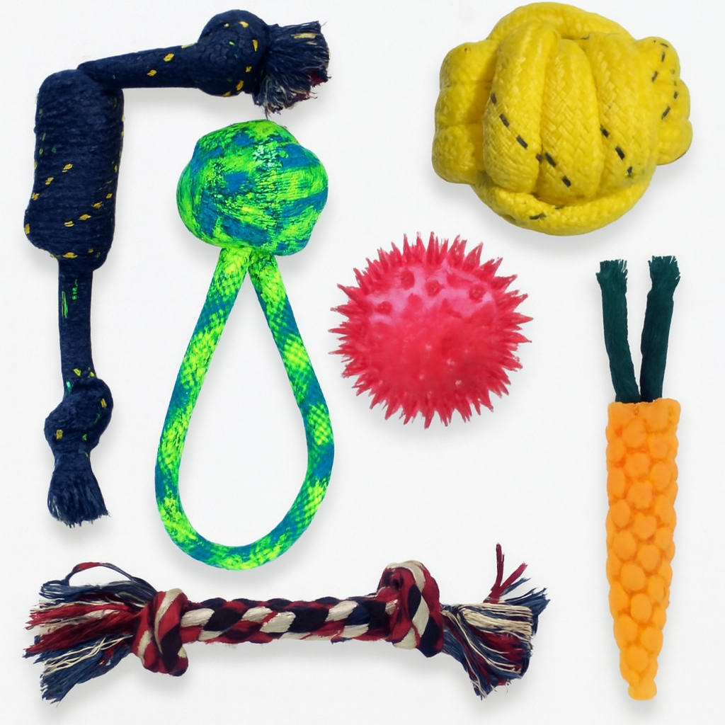 Rope and Rubber Dog Toy Set, Six Pieces