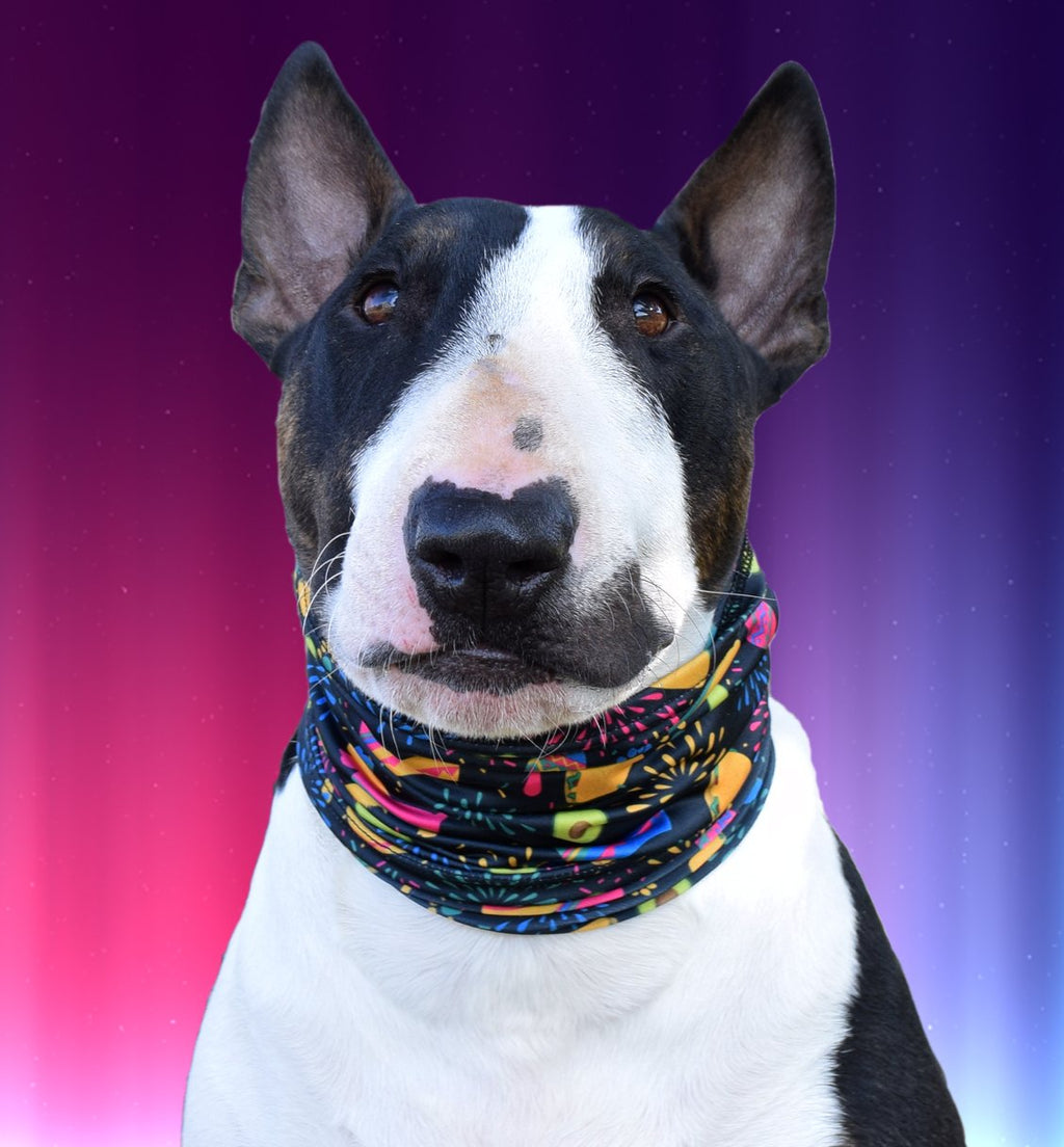 Taco Print Stretch Dog Neck Scruff