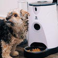 WiFi Pet Feeder With Camera and Two Way Audio