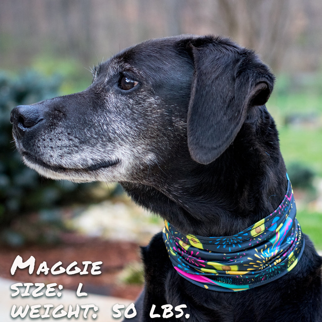 Taco Print Stretch Dog Neck Scruff
