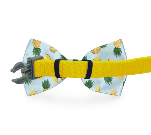 Basketball Print Blue Dog Bow Tie